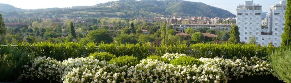 Creiamo un giardino in terrazza!