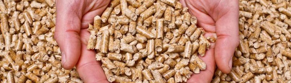 Pellet di conifera, quale scegliere?