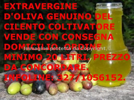 Extravergine d'oliva eccellente del Cilento Immagine 1